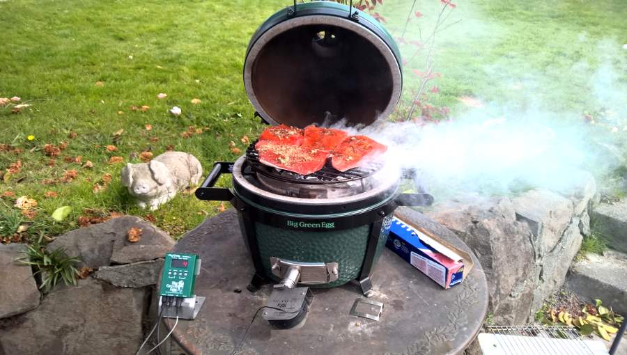 salmon on big green egg without plank